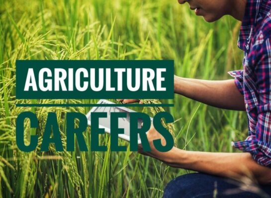 Explore a Promising Agricultural Career with B.Sc. Agriculture at Kanchan Group of Institutions, Raebareli