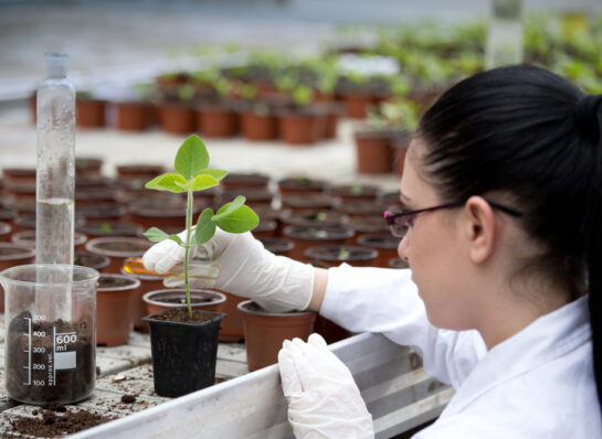 Kanchan Group of Institutes | Unlock Your B.Sc Agriculture: B.Sc Agriculture Admission 2025
