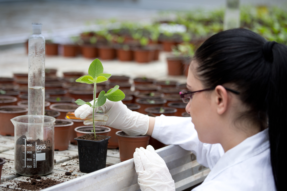 Kanchan Group of Institutes | Unlock Your B.Sc Agriculture: B.Sc Agriculture Admission 2025