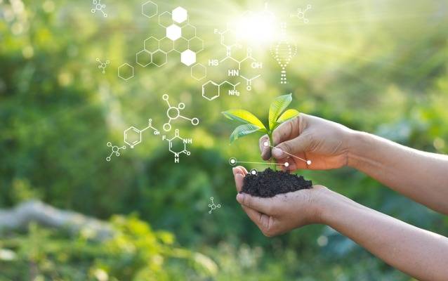 B.Sc Agriculture Admission 2025: Eligibility & Process at Kanchan Group, Raebareli