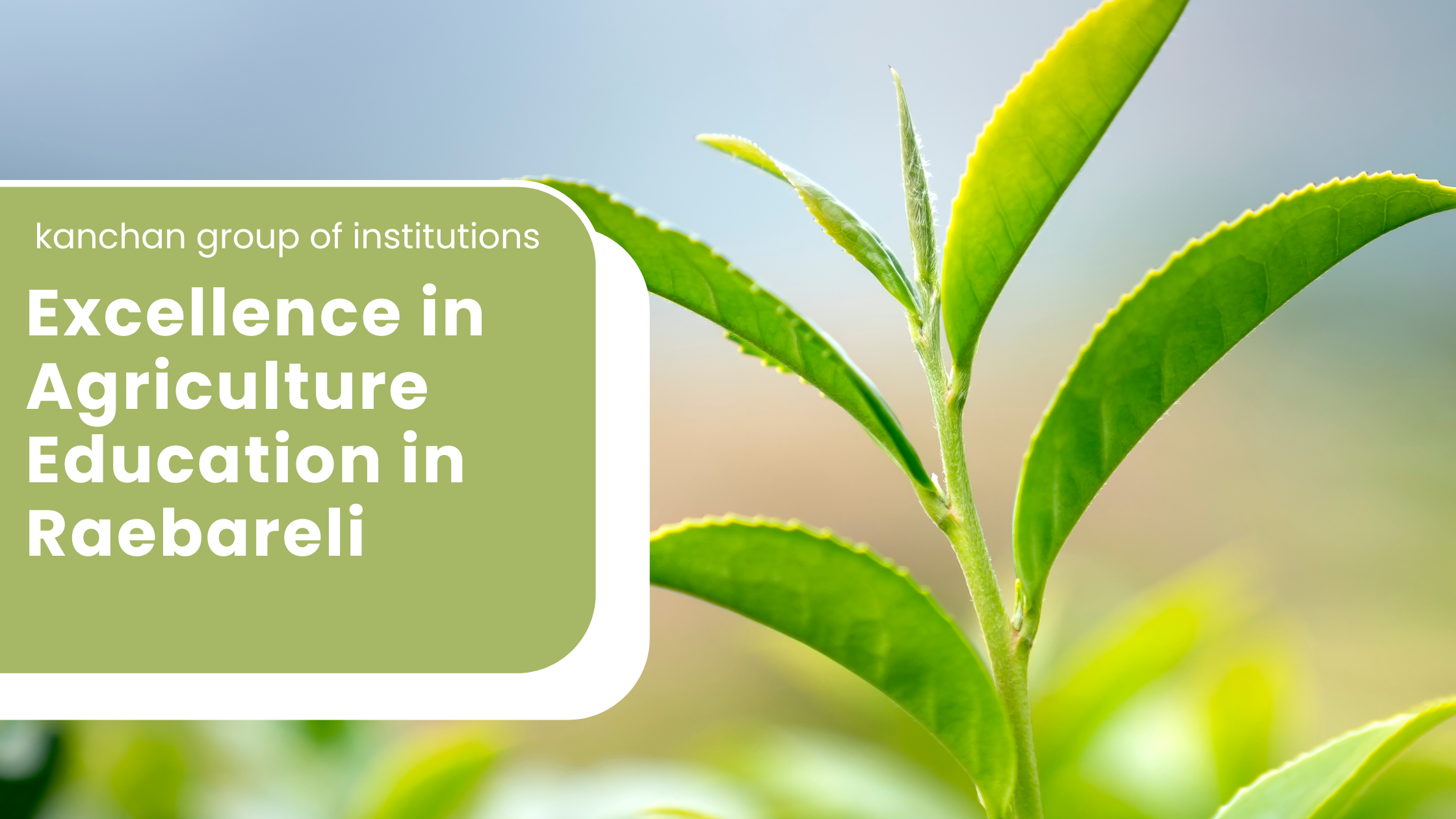 kanchan gr🌾 Kanchan Group of Institutes: Excellence in Agriculture Education in Raebareli